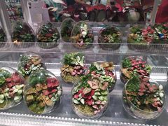 -KKV(深圳宏发大仟里店)