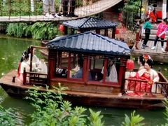 -合肥滨湖国家森林公园