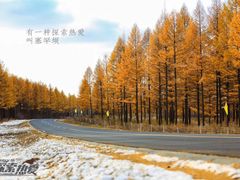 -塞罕坝国家级自然保护区