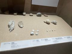 -烟台市博物馆