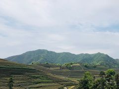 -龙坞茶村