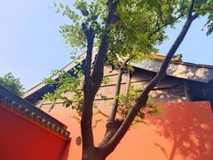 -苏州文庙(姑苏区)