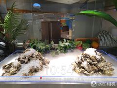 -非烤勿扰自助烤肉(宝安天虹店)