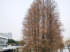 -蠡湖大桥公园