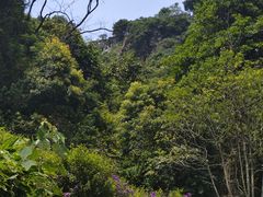 -广州市白云山风景名胜区