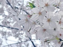 -西北湖绿化广场