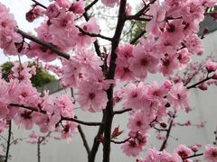 -狼山风景名胜区