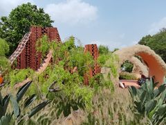 -深圳仙湖植物园
