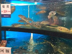 -莆鑫海鲜城(浏河店)