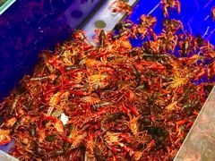 -二十一分小锅炖(中心店)