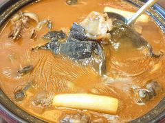 红煨甲鱼-潇湘甲鱼村(清河店)