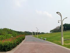 -深圳湾公园(南山区)