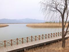 -野鸭湖国家湿地公园