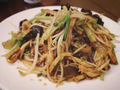炒合菜-草包包子铺1937(普利街店)