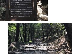 -阳台山自然风景区