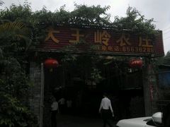 -大王岭农庄