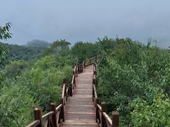 -大岭沟猕猴桃谷风景区
