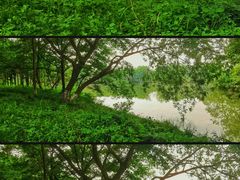 -中国湿地博物馆