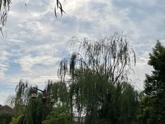 -茯茶镇