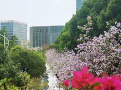 -玉树公园