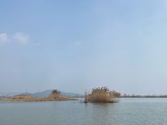 -苏州太湖湖滨国家湿地公园