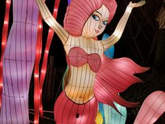 -武汉园博园(武汉自然博物馆)