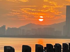 -深圳湾公园(南山区)