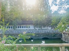 -苏州文庙(姑苏区)