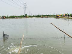 -梁鸿国家湿地公园