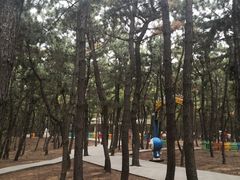 -林海公园