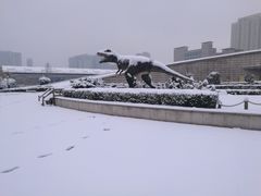 -陕西自然博物馆