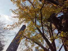 -上海佘山国家森林公园天马山园