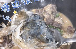 Braised Bighead Carp