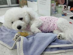 -纳吉亚猫专科动物诊疗中心(蒋宅口分院)