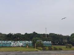 -深圳野生动物园