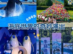 -上海海昌海洋公园