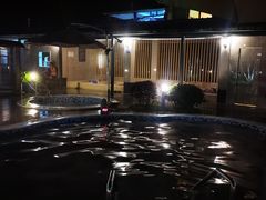 -广东温泉宾馆