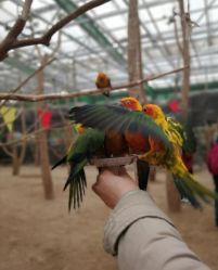 -萌宠亲子动物乐园(槐房万达店)