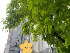 -观音桥步行街