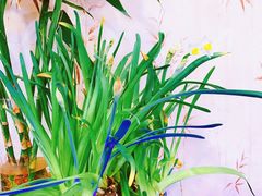 -长兴菜馆(高桥店)