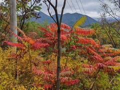 -玉渡山自然风景区