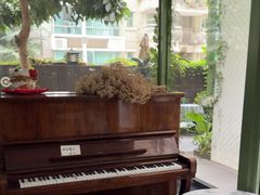 -绿房子方寸咖啡(星海名城店)