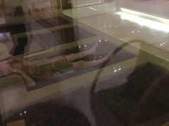 -热带雨林汗蒸馆(汶水东路店)