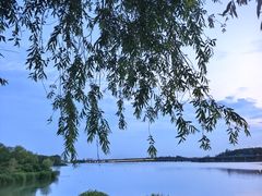 -丁香湖公园
