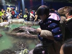 -重庆欢乐海底世界