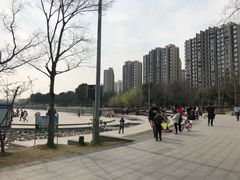 -南翔镇银翔湖公园