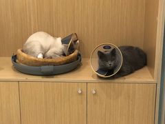 -美迦爱-牙专科·兔科·骨科诊疗中心(北苑店)