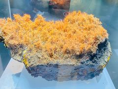 -湖南省地质博物馆