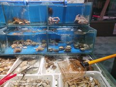-潮庭·大连海鲜·炭火烧烤·扇贝王(大连店)
