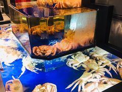 -蟹道乐(道顿堀本店)